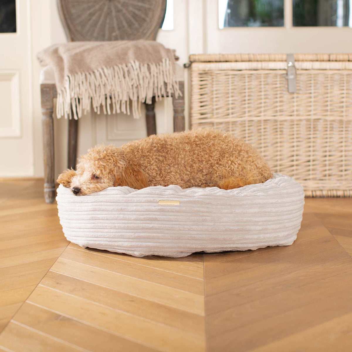 Donut Bed With Removable Covers in Light Grey Essentials Plush, view 5