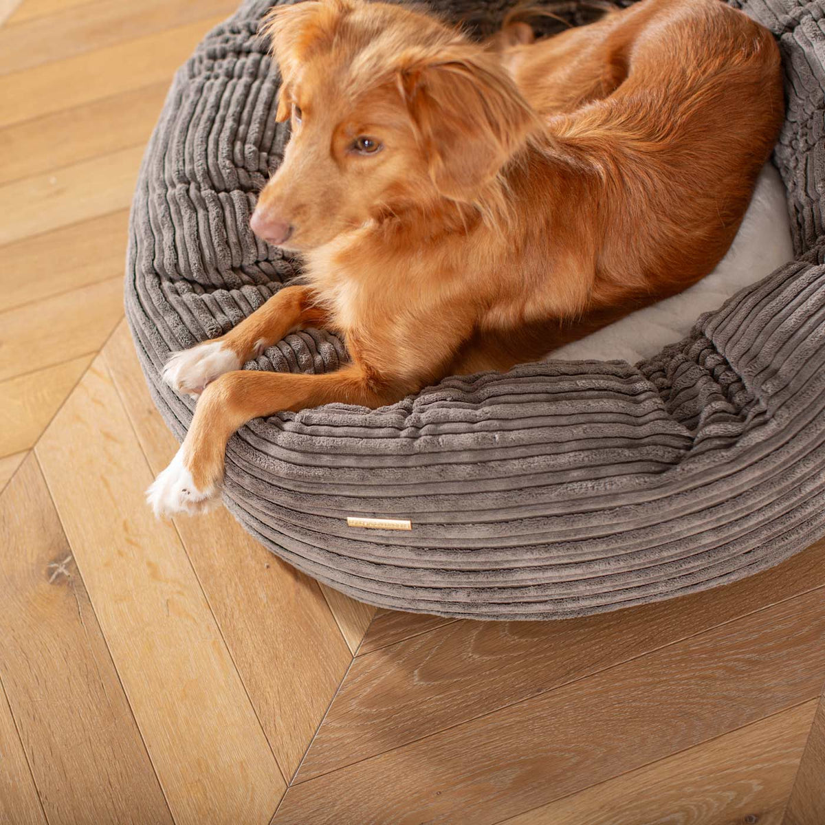 Donut Bed With Removable Covers in Dark Grey Essentials Plush, view 2