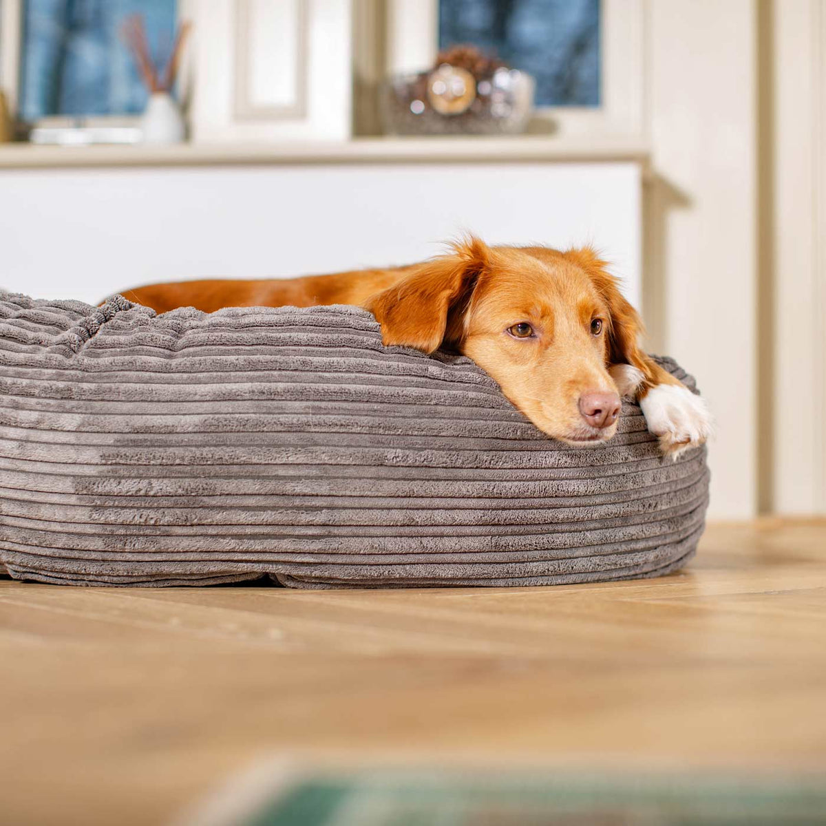 Donut Bed With Removable Covers in Dark Grey Essentials Plush, view 3
