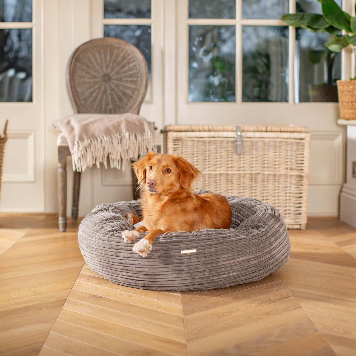 Donut Bed With Removable Covers in Dark Grey Essentials Plush