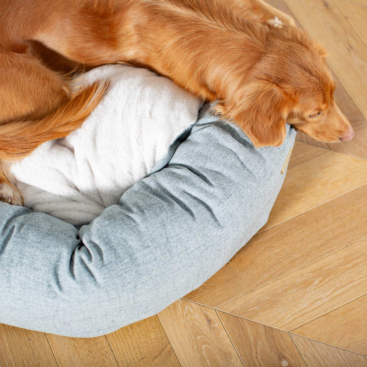 Donut Bed With Removable Covers in Inchmurrin Iceberg, view 3