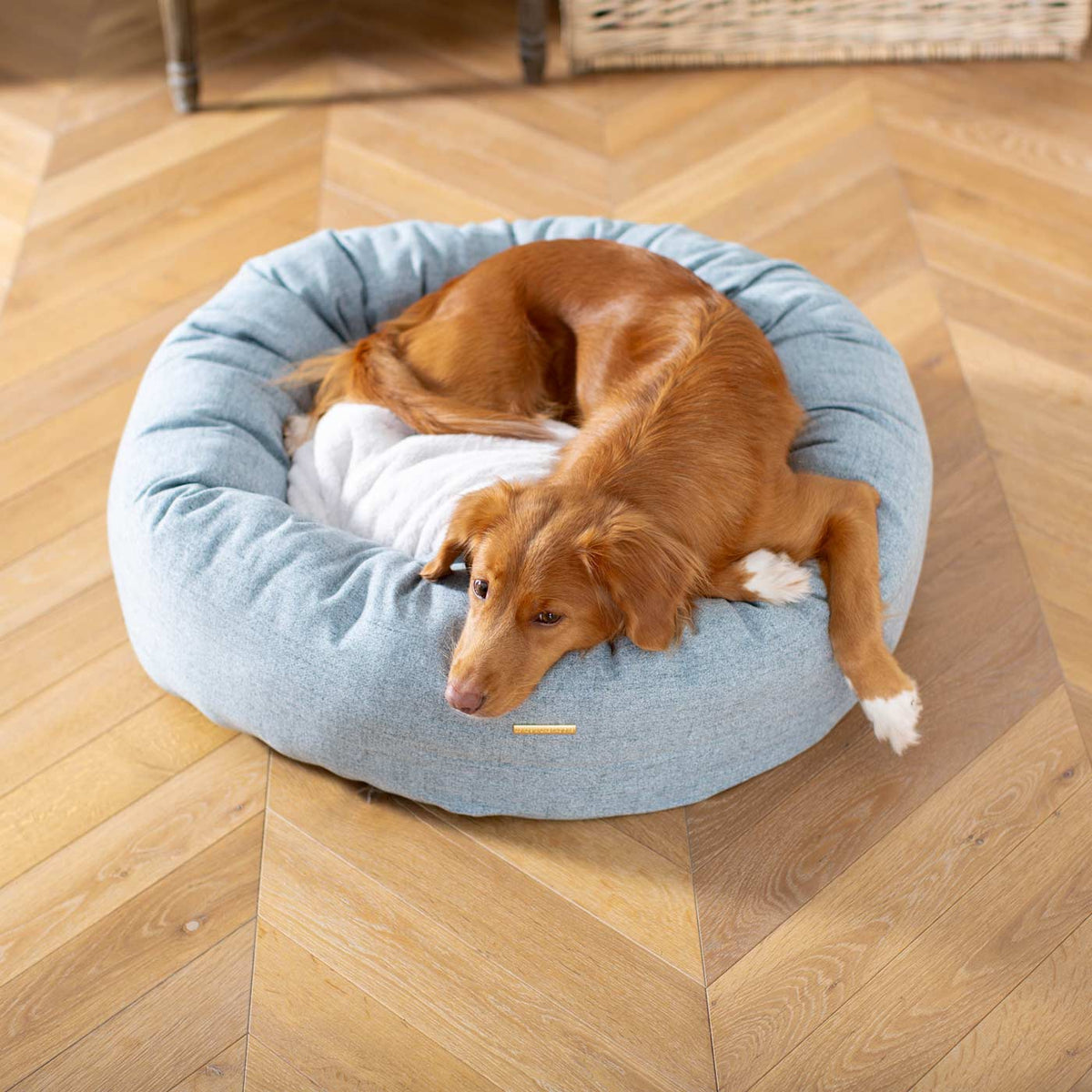 Donut Bed With Removable Covers in Inchmurrin Iceberg, view 4