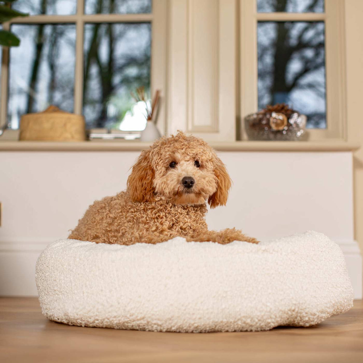 Donut Bed With Removable Covers in Ivory Bouclé, view 3