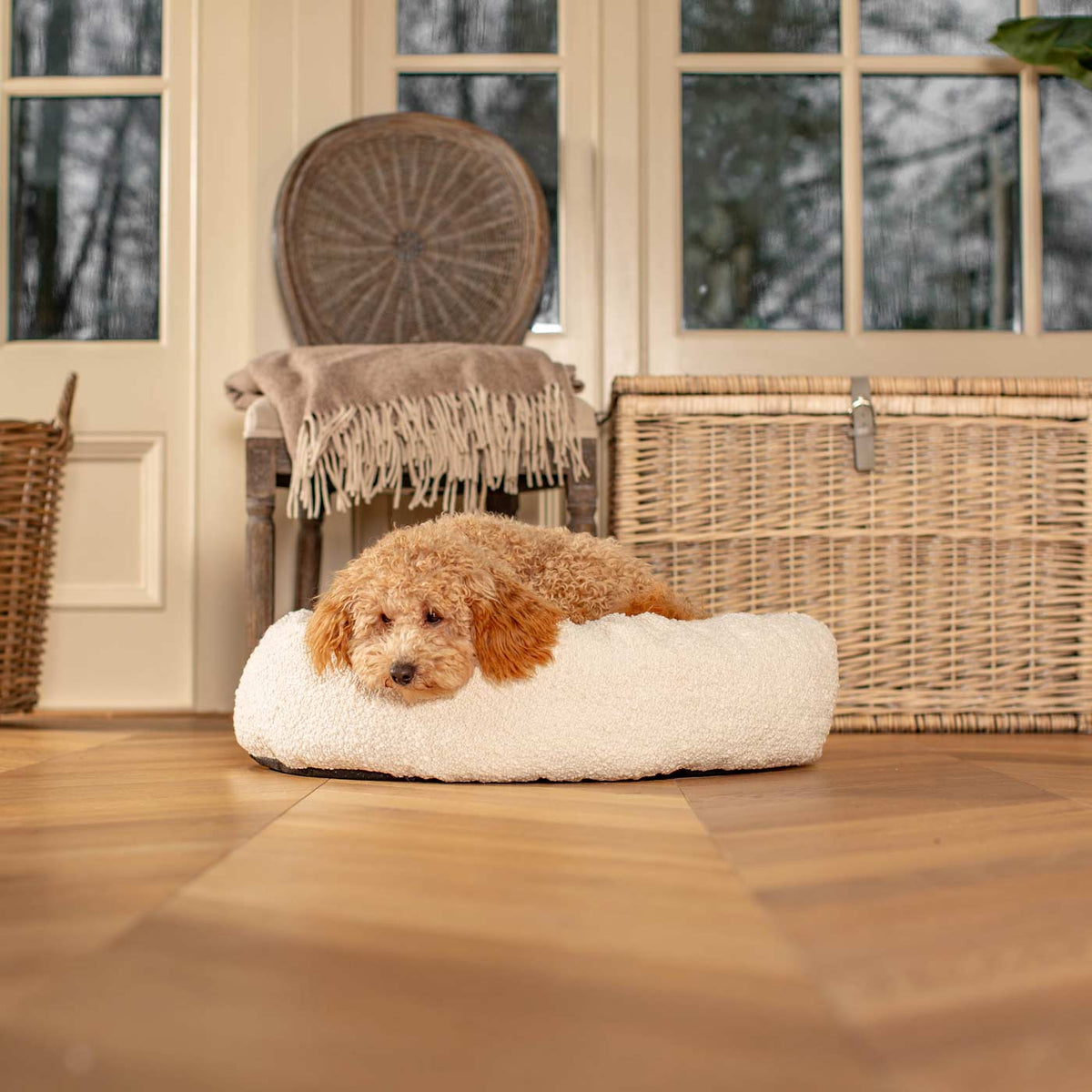 Donut Bed With Removable Covers in Ivory Bouclé, view 2