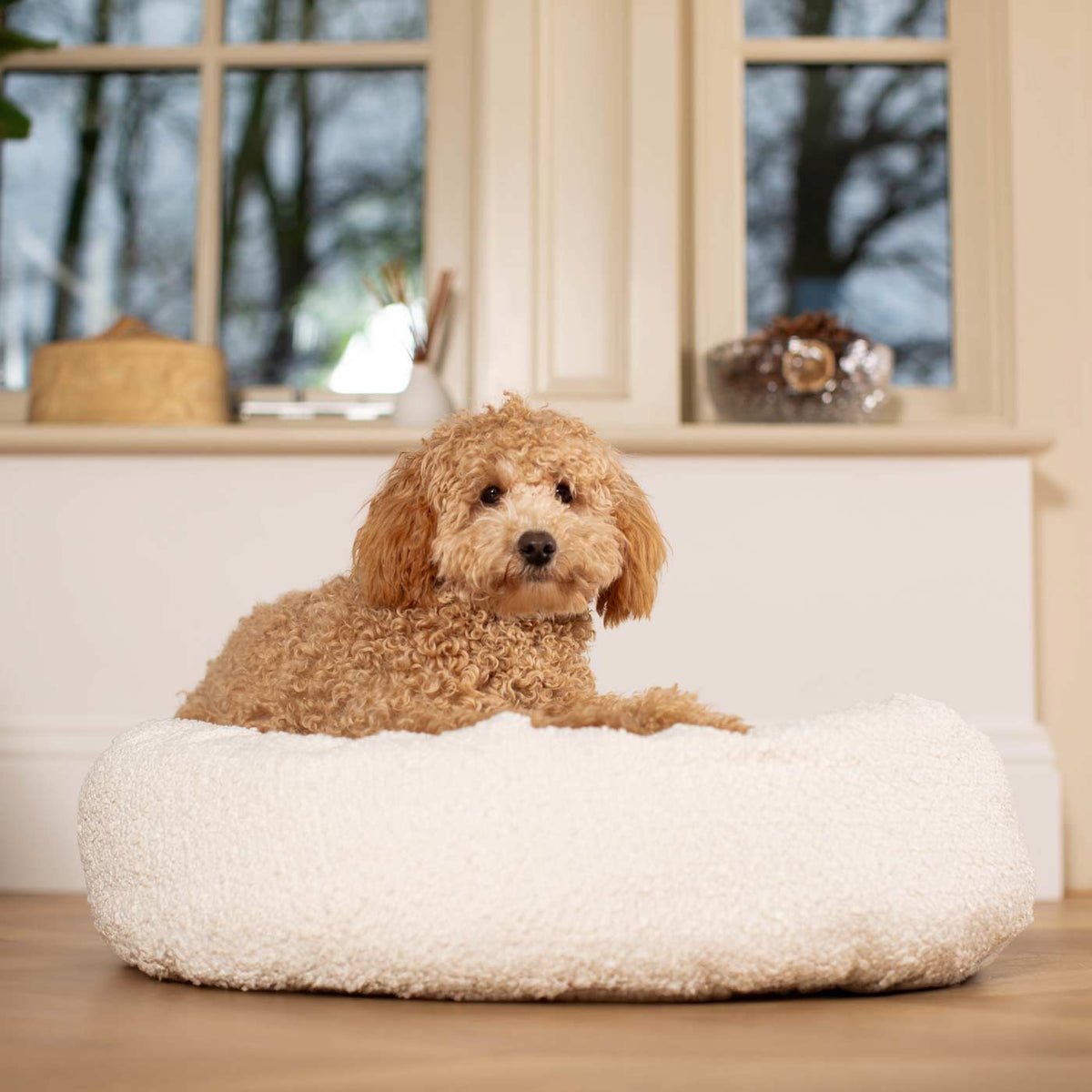 Donut Bed With Removable Covers in Ivory Bouclé, view 5