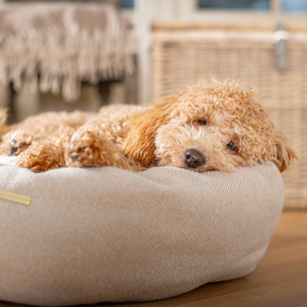 Donut Bed With Removable Covers in Natural Herringbone Tweed, view 3
