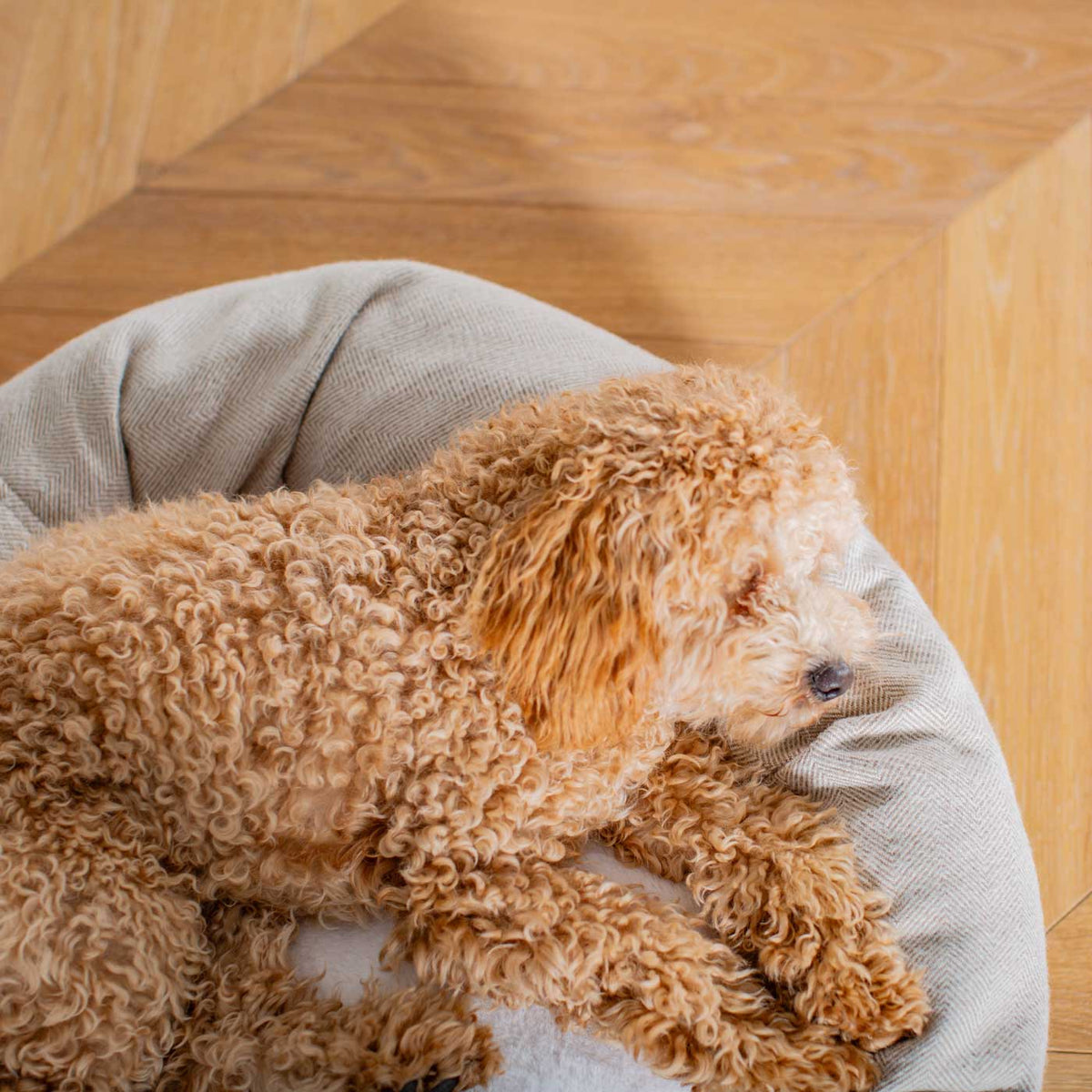 Donut Bed With Removable Covers in Natural Herringbone Tweed, view 5