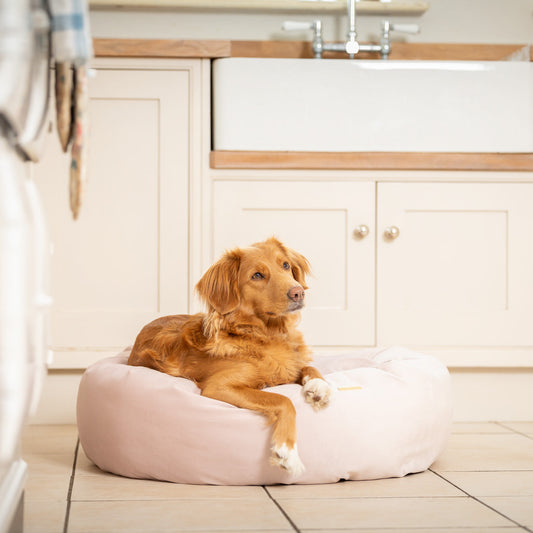 Donut Bed With Removable Covers in Blossom Velvet