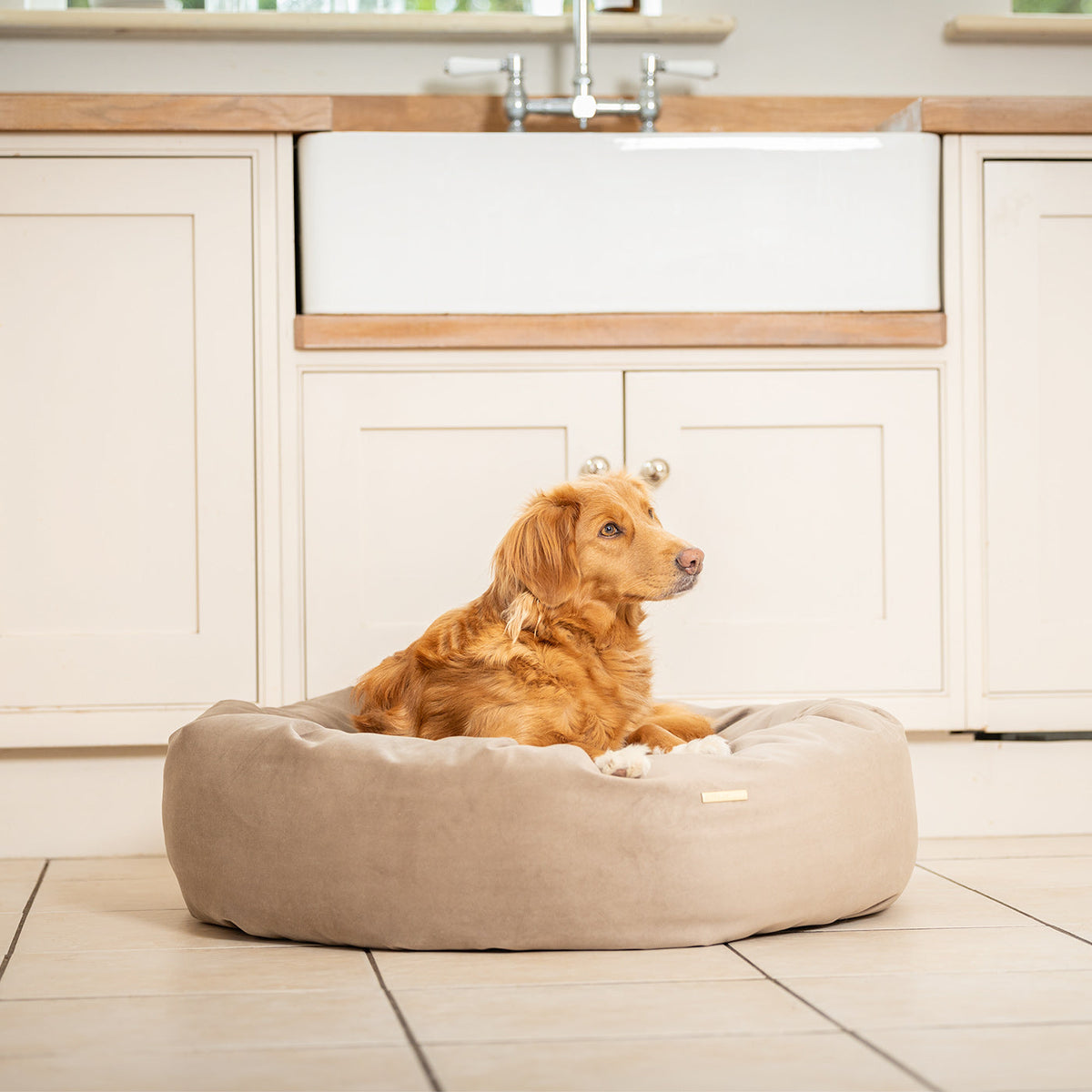 Donut Bed With Removable Covers in Clay Velvet, view 2