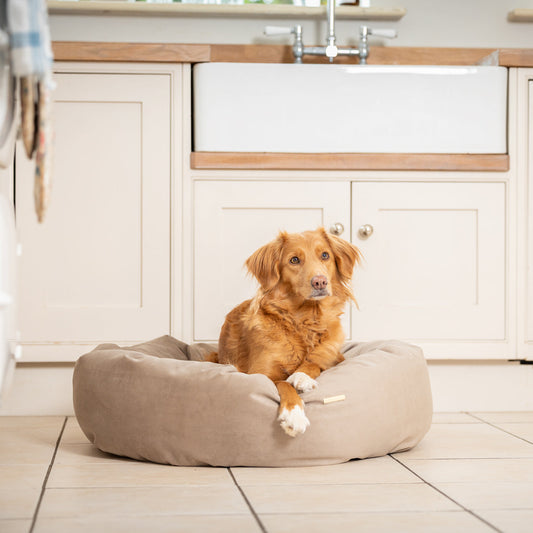 Donut Bed With Removable Covers in Clay Velvet