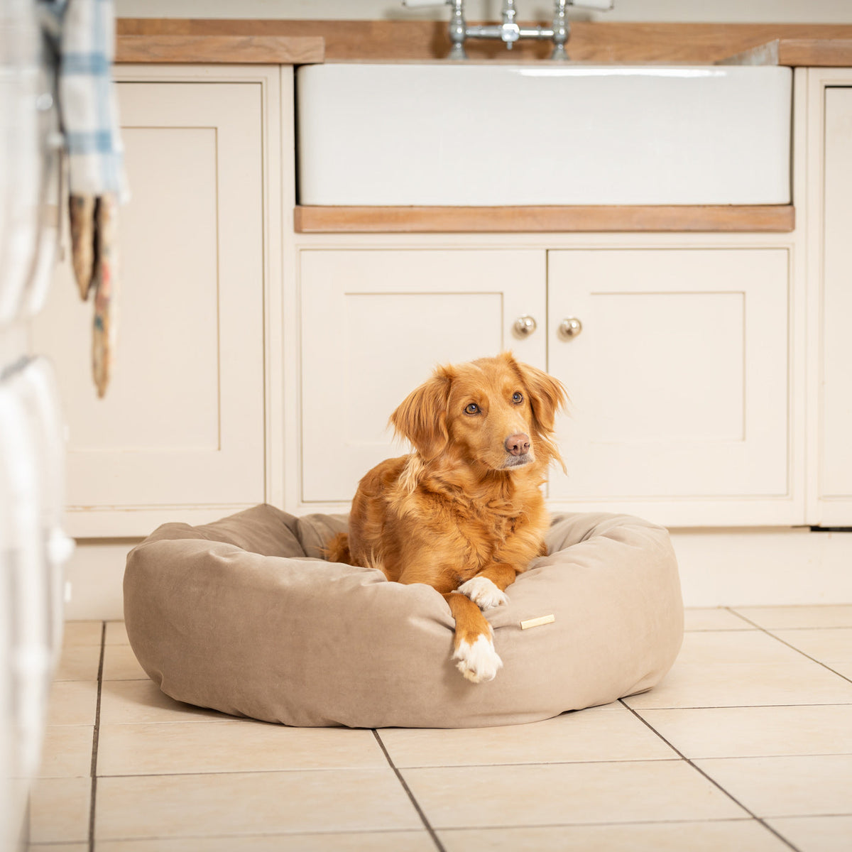 Donut Bed With Removable Covers in Clay Velvet, view 3