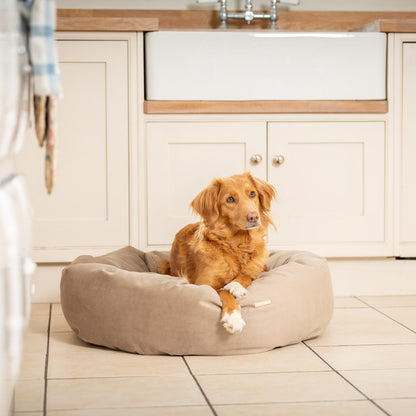 Donut Bed With Removable Covers in Clay Velvet, view 3