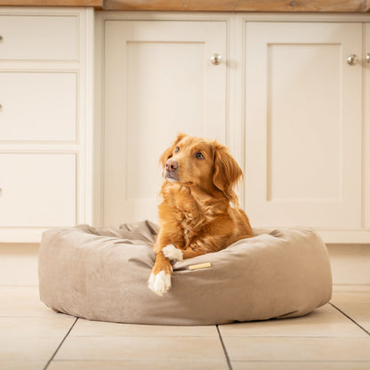 Donut Bed With Removable Covers in Clay Velvet, view 4
