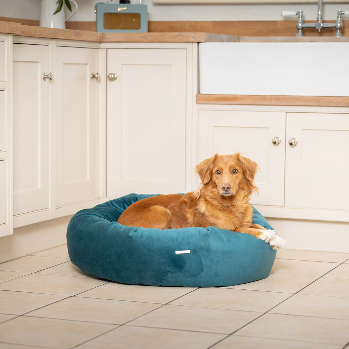 Donut Bed With Removable Covers in Marine Velvet, view 2
