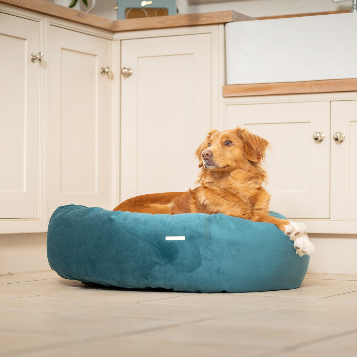Donut Bed With Removable Covers in Marine Velvet, view 3