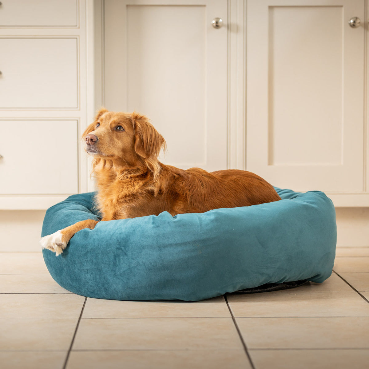 Donut Bed With Removable Covers in Marine Velvet, view 4
