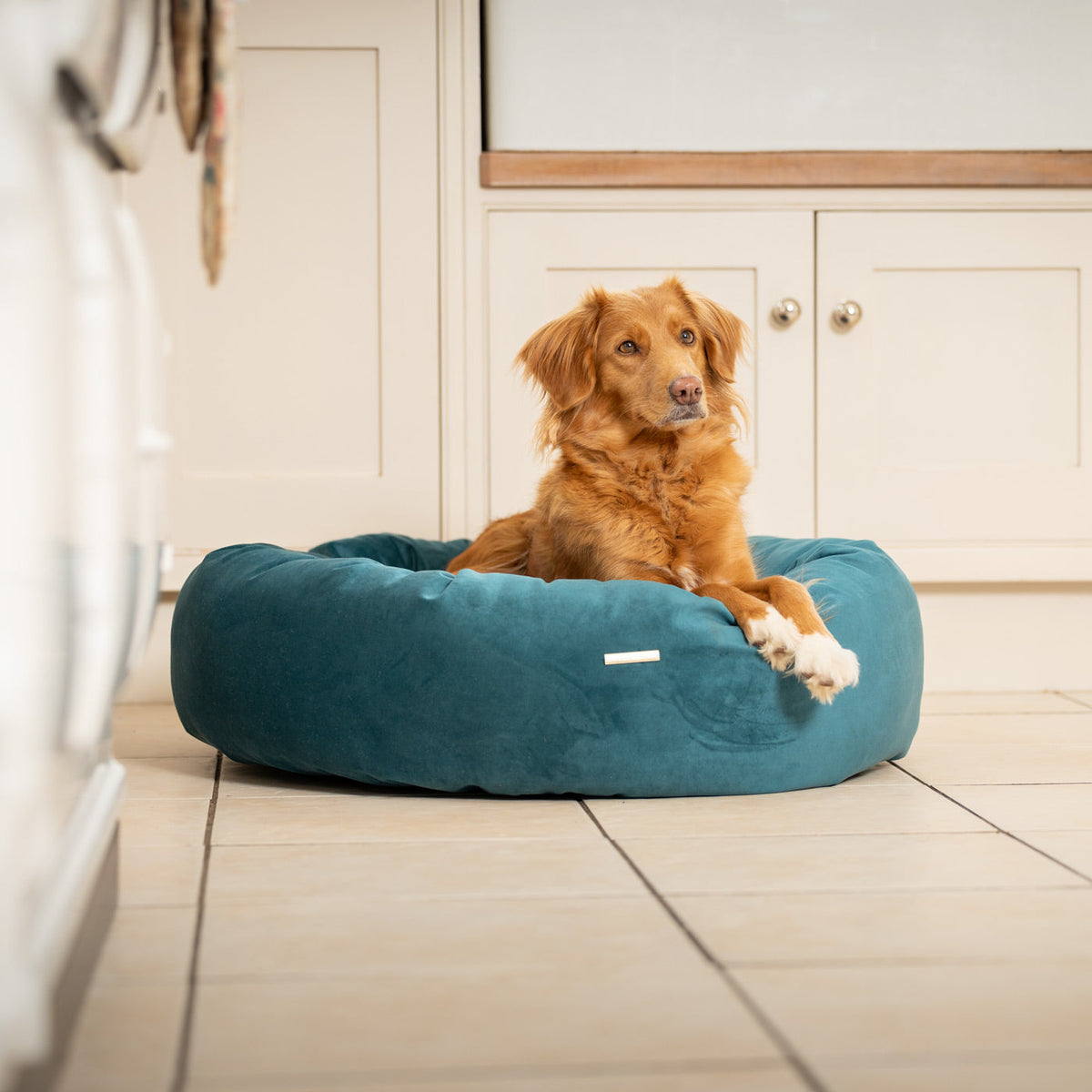 Donut Bed With Removable Covers in Marine Velvet, view 5