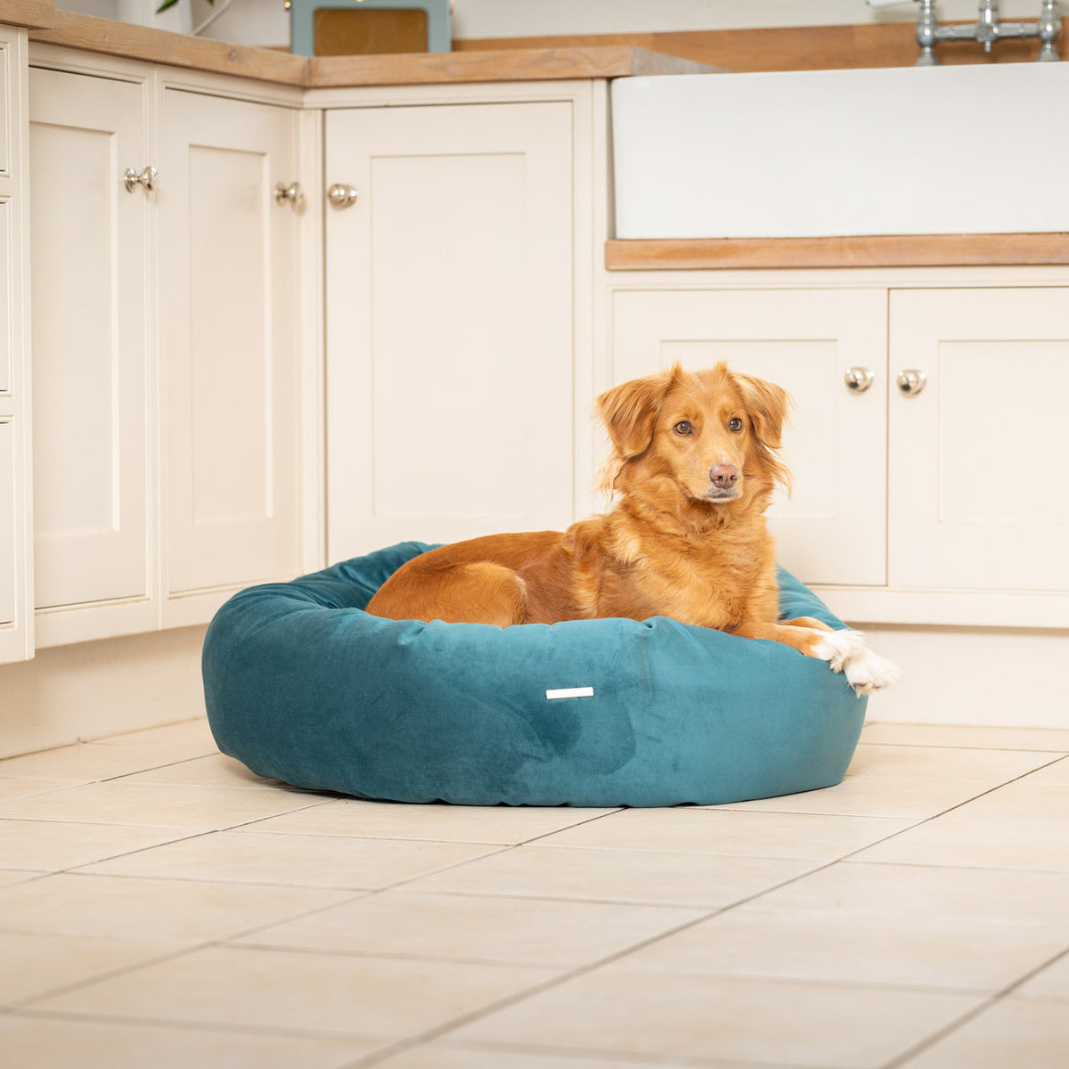 Donut Bed With Removable Covers in Marine Velvet