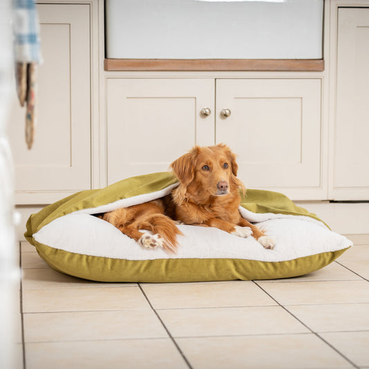 Sleepy Burrows Bed With Removable Cover In Olive Velvet
