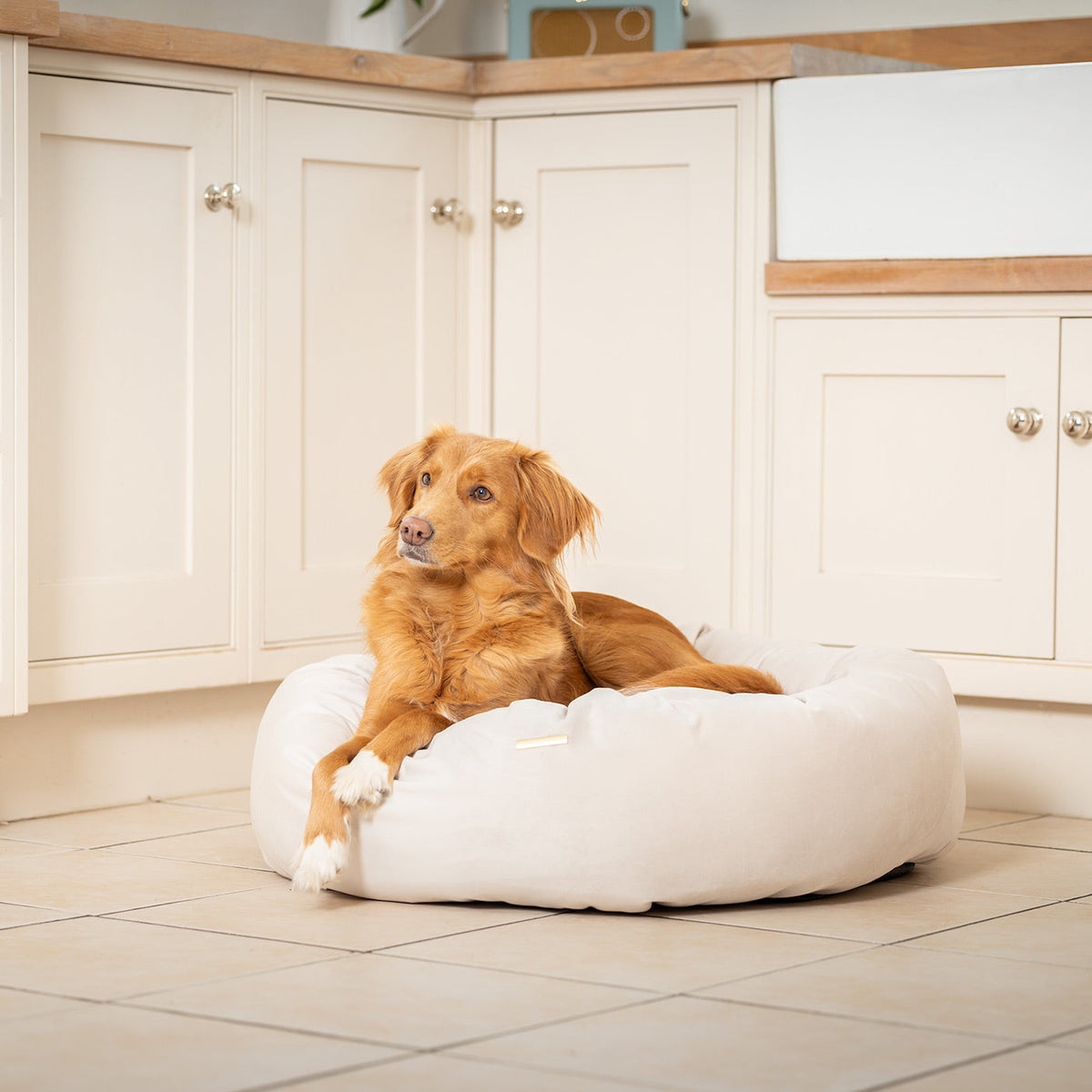 Donut Bed With Removable Covers in Oyster Velvet
