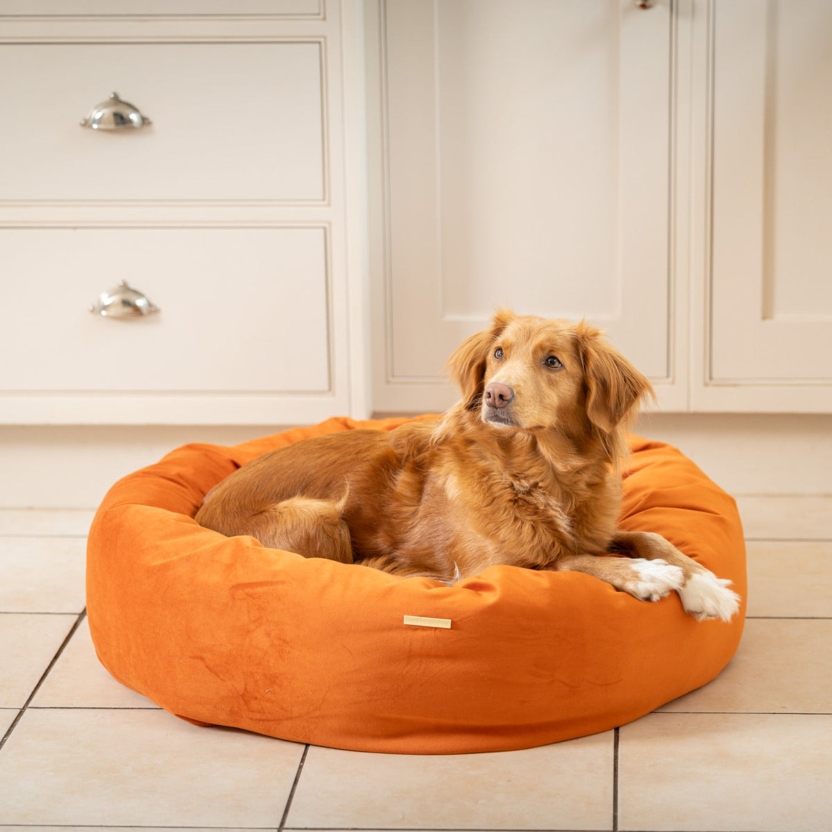 Donut Bed With Removable Covers in Pumpkin Velvet