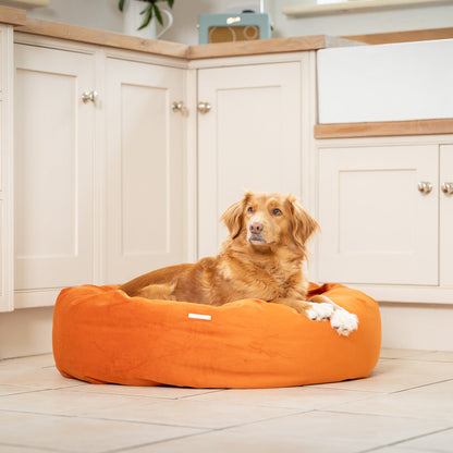 Donut Bed With Removable Covers in Pumpkin Velvet, view 2