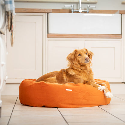 Donut Bed With Removable Covers in Pumpkin Velvet, view 3