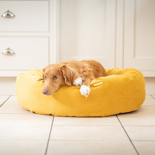 Donut Bed With Removable Covers in Saffron Velvet