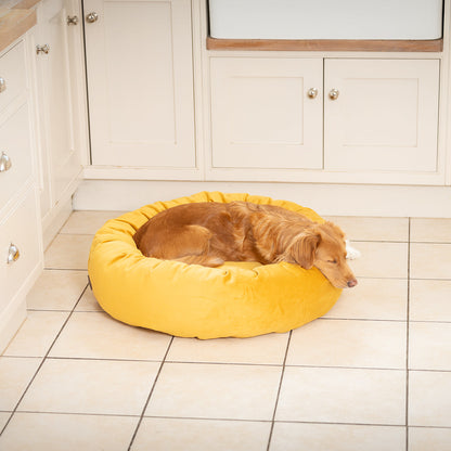 Donut Bed With Removable Covers in Saffron Velvet, view 3