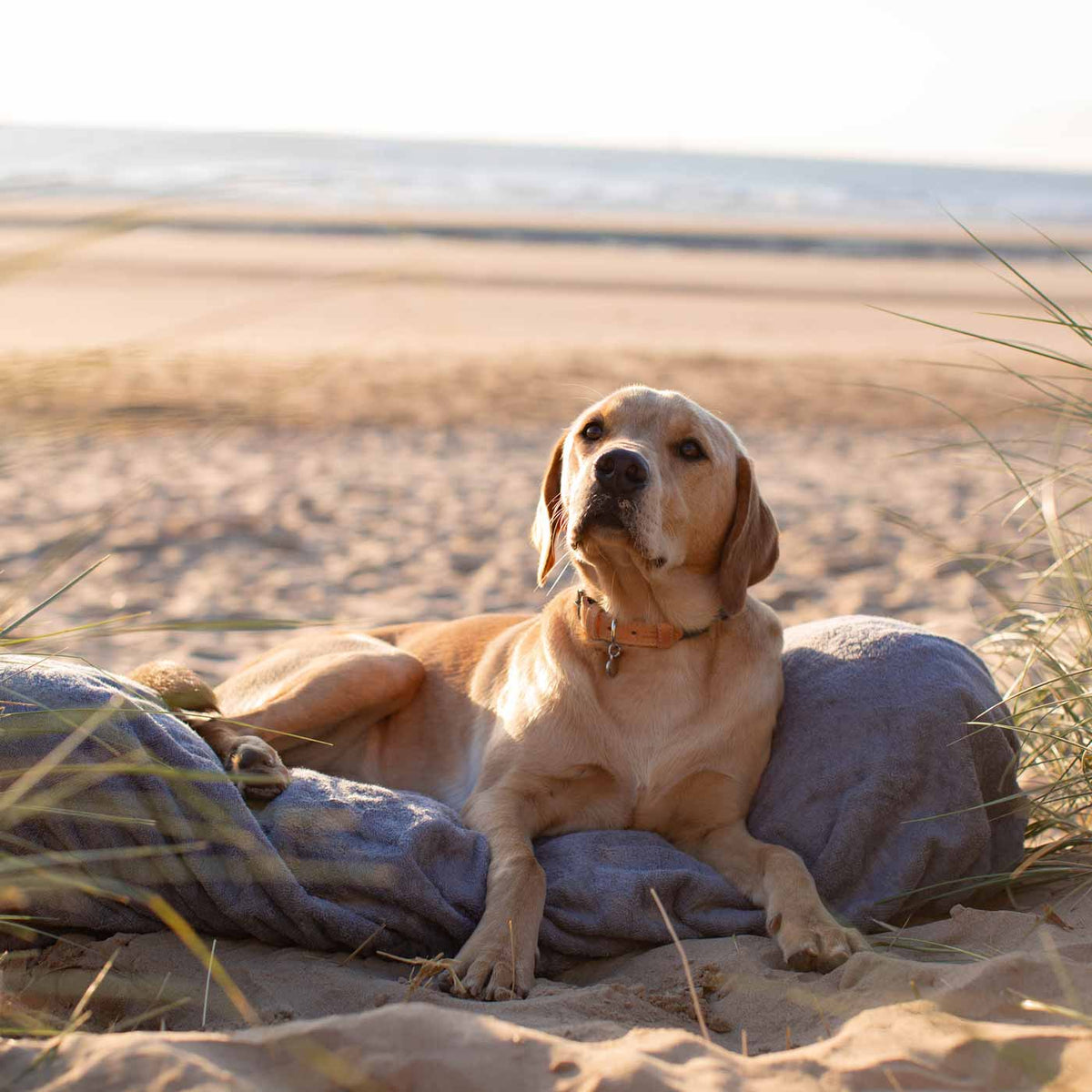 Bamboo Drying Cushion Cover in Gun Metal, view 2