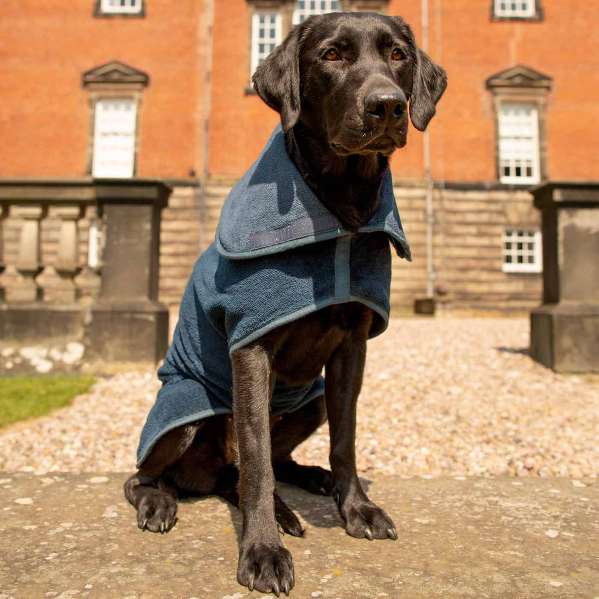 Bamboo Drying Coat in Navy, view 8