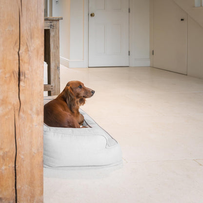 Deep Sleep Dog Bed in Alabaster, view 2