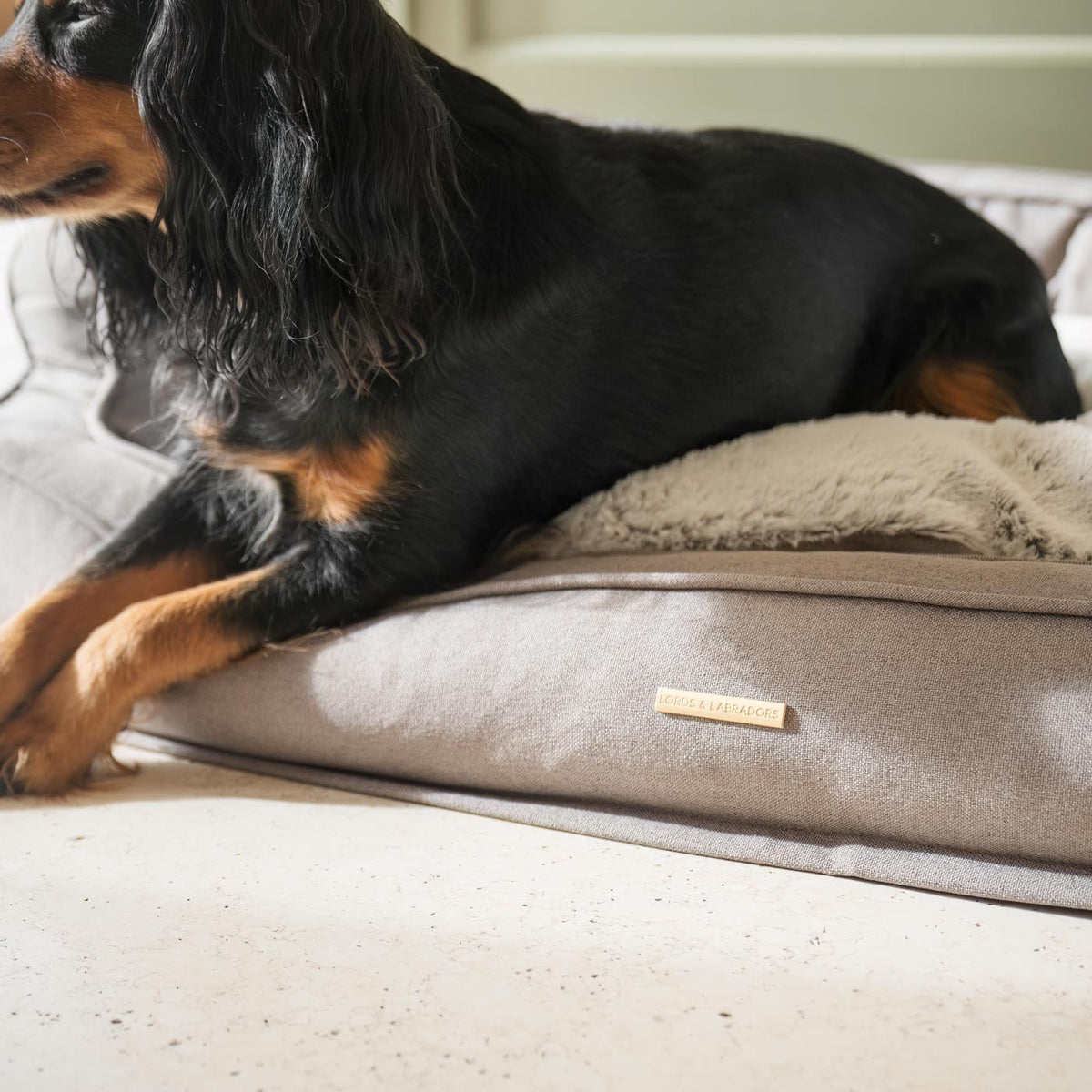 Deep Sleep Dog Bed in Putty, view 4