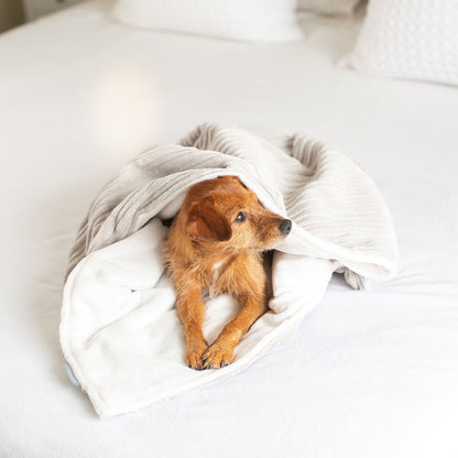 Dog & Puppy Blanket in Light Grey Essentials Plush, view 7