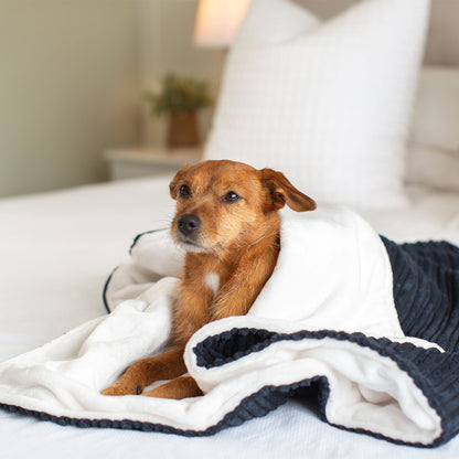 Dog & Puppy Blanket in Navy Essentials Plush, view 4