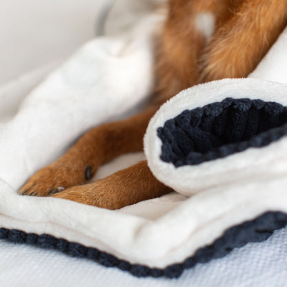 Dog & Puppy Blanket in Navy Essentials Plush, view 5