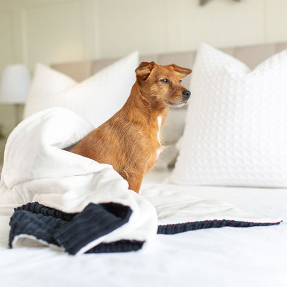 Dog & Puppy Blanket in Navy Essentials Plush, view 2