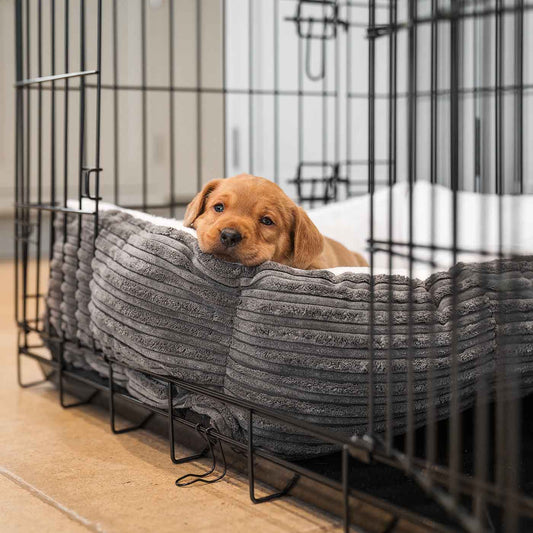 Cosy & Calming Puppy Crate Bed With Removable Covers in Dark Grey Essentials Plush