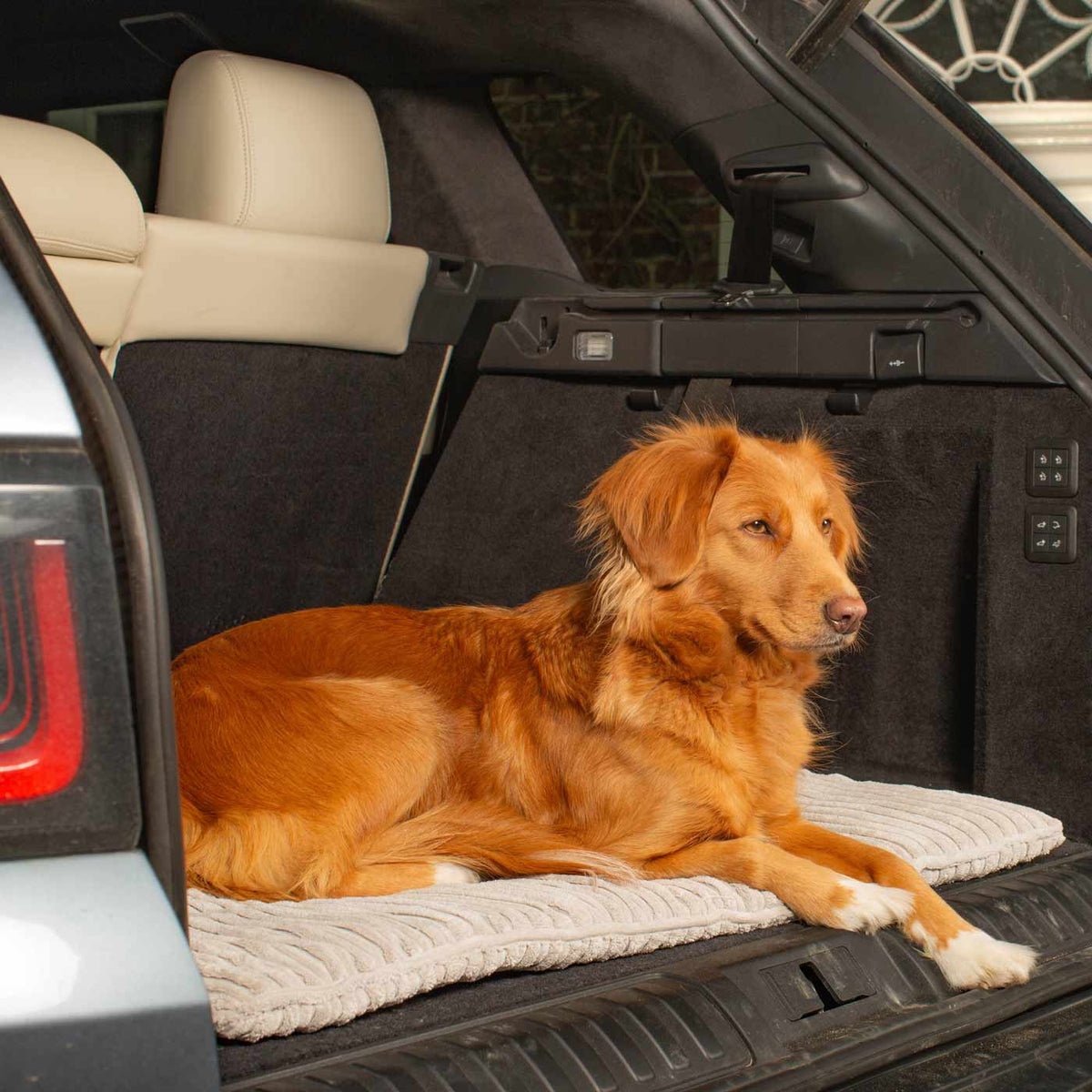 Travel Mat in Light Grey Essentials Plush, view 5
