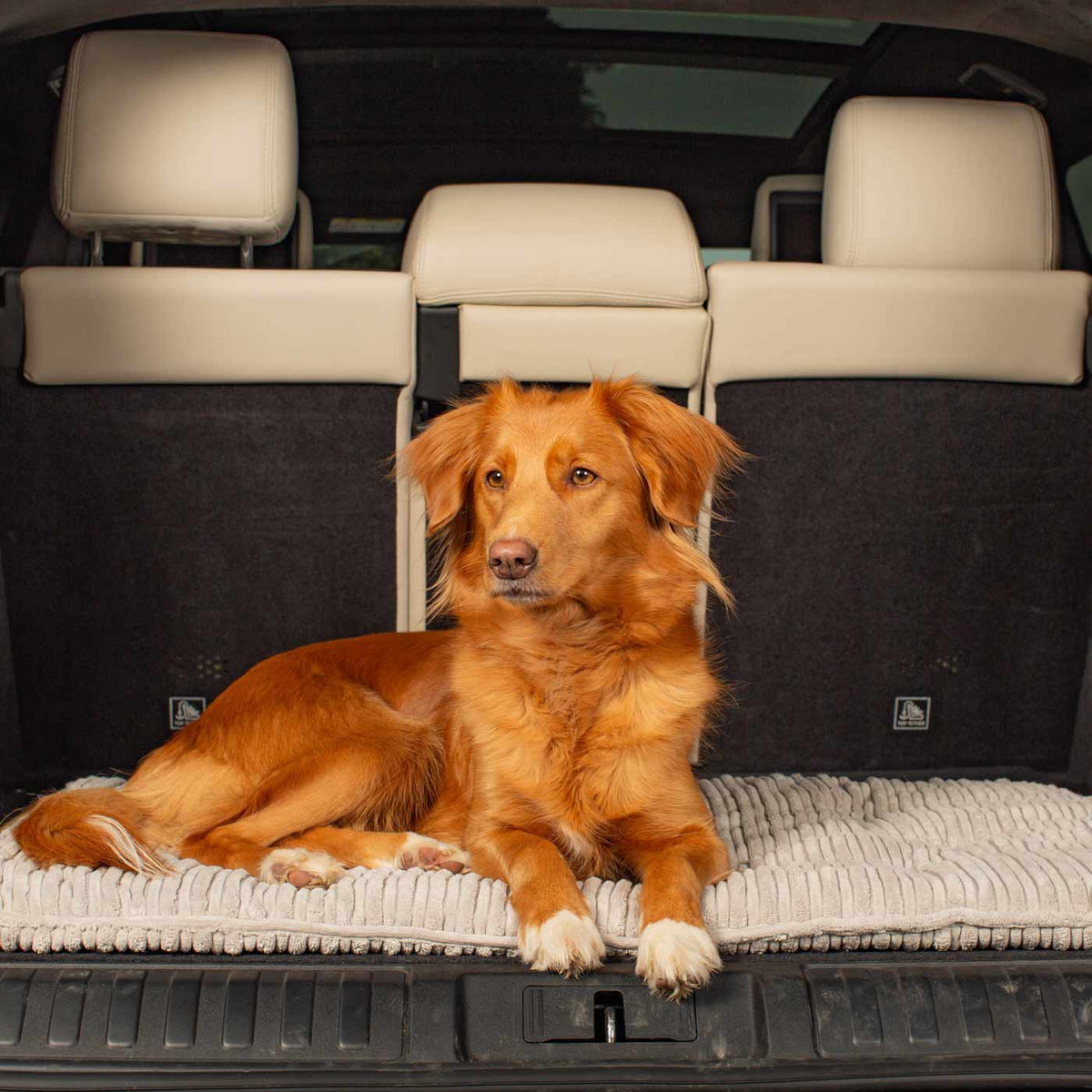 Travel Mat in Light Grey Essentials Plush, view 7