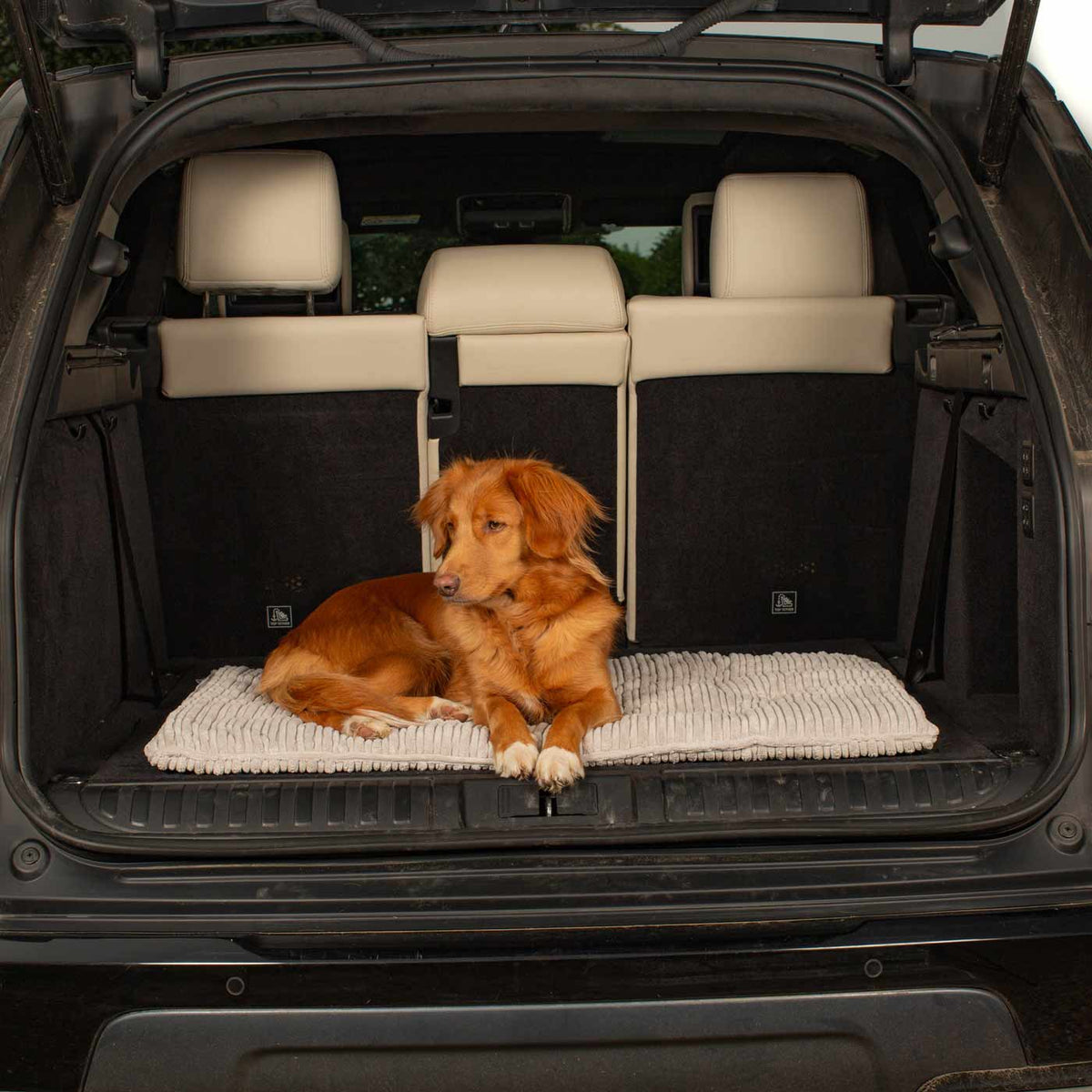 Travel Mat in Light Grey Essentials Plush, view 8