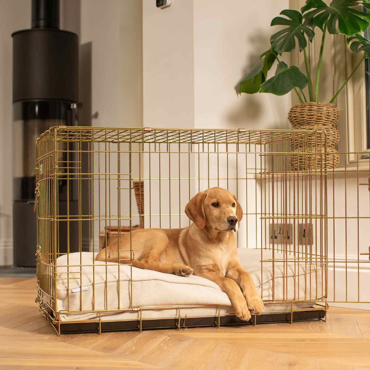 Dog Cushion in Natural Herringbone Tweed, view 9