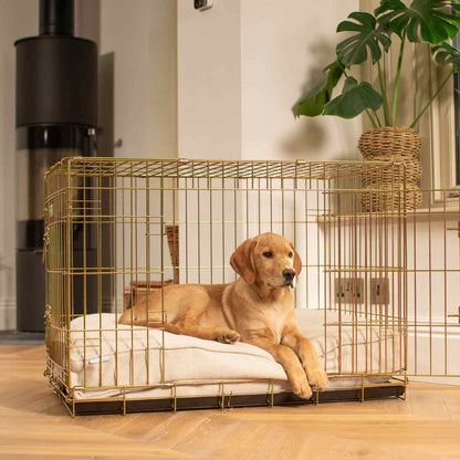 Dog Cushion in Natural Herringbone Tweed, view 9