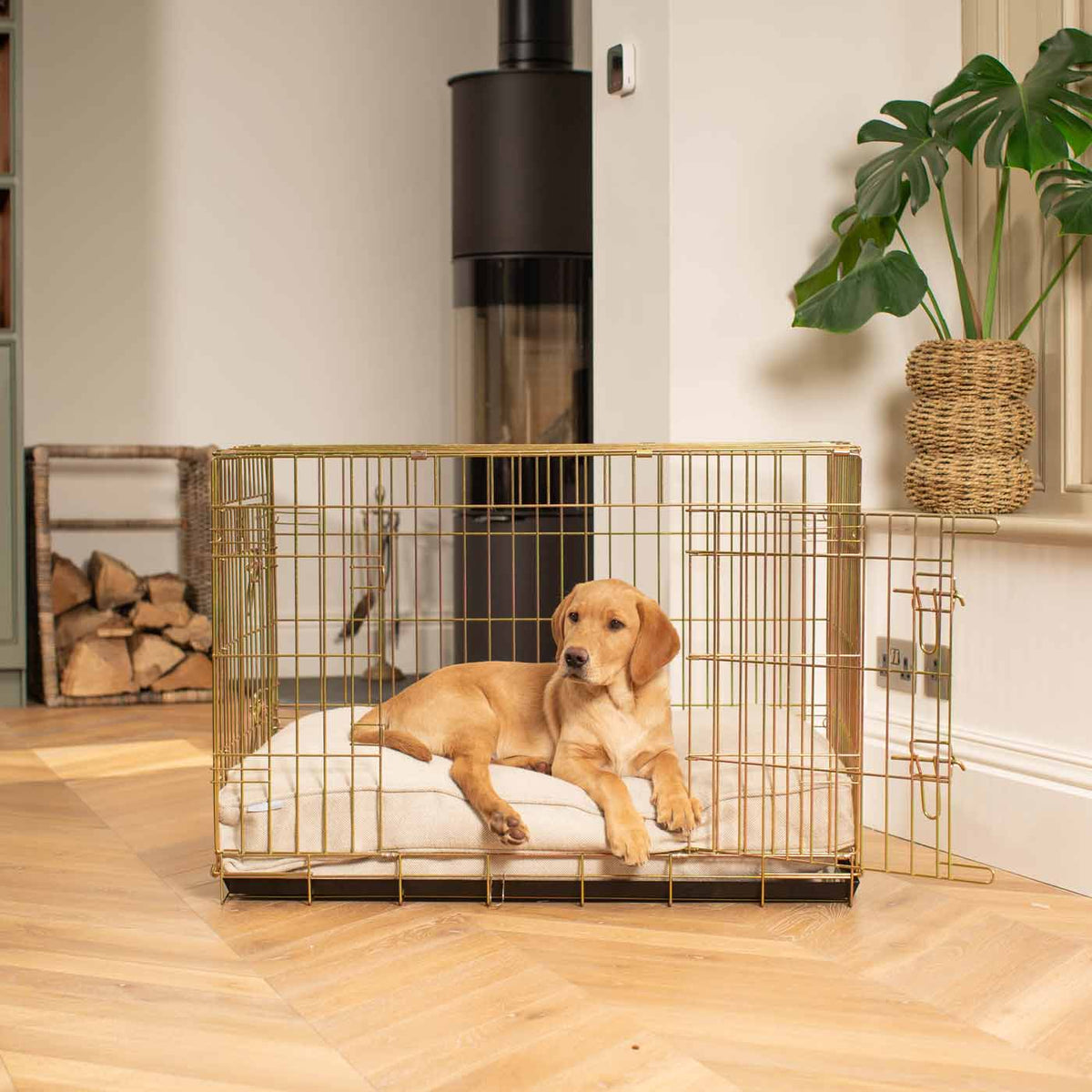Dog Cushion in Natural Herringbone Tweed, view 8