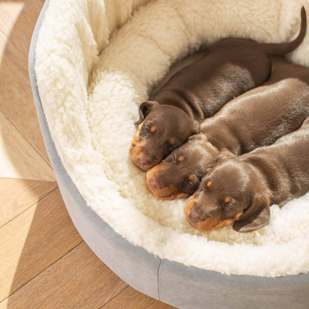 Grow With Me Puppy Bed in Grey, view 2