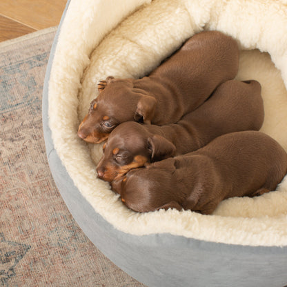 Grow With Me Puppy Bed in Grey, view 4