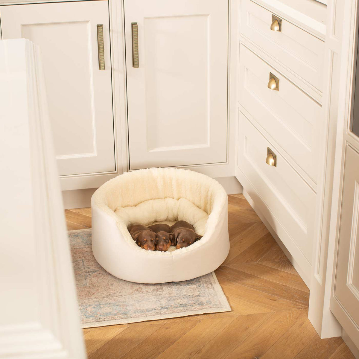 Grow With Me Puppy Bed in Cream, view 3