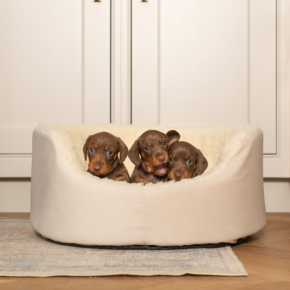 Grow With Me Puppy Bed in Cream, view 2