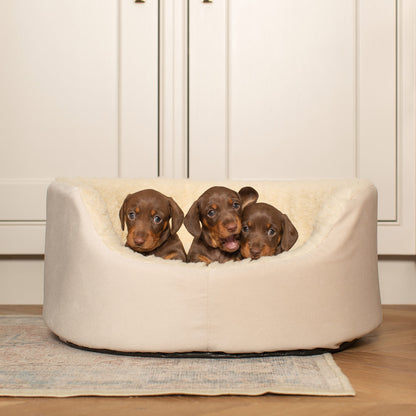 Grow With Me Puppy Bed in Cream, view 2
