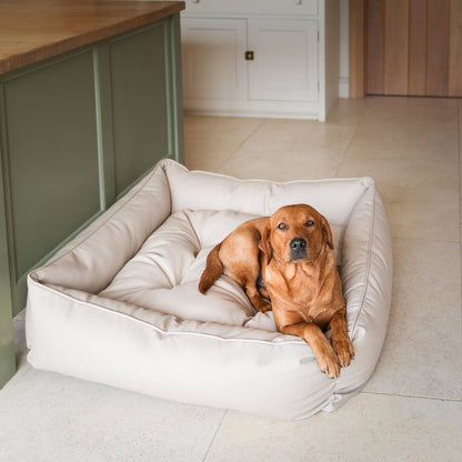 Box Bed With Removable Covers in Rhino Tough Sand Faux Leather, view 3